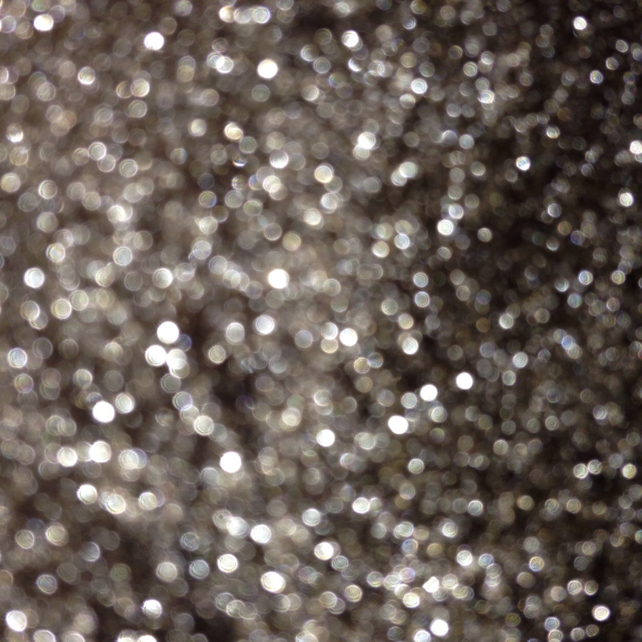 kellquinnt's profile picture. 