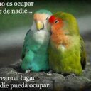 Elizabeth Vichicela (@009Rossy) Twitter