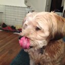 amy siwik - @aes710 - Twitter