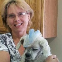 Judy Ralston - @silverice3 Twitter Profile Photo