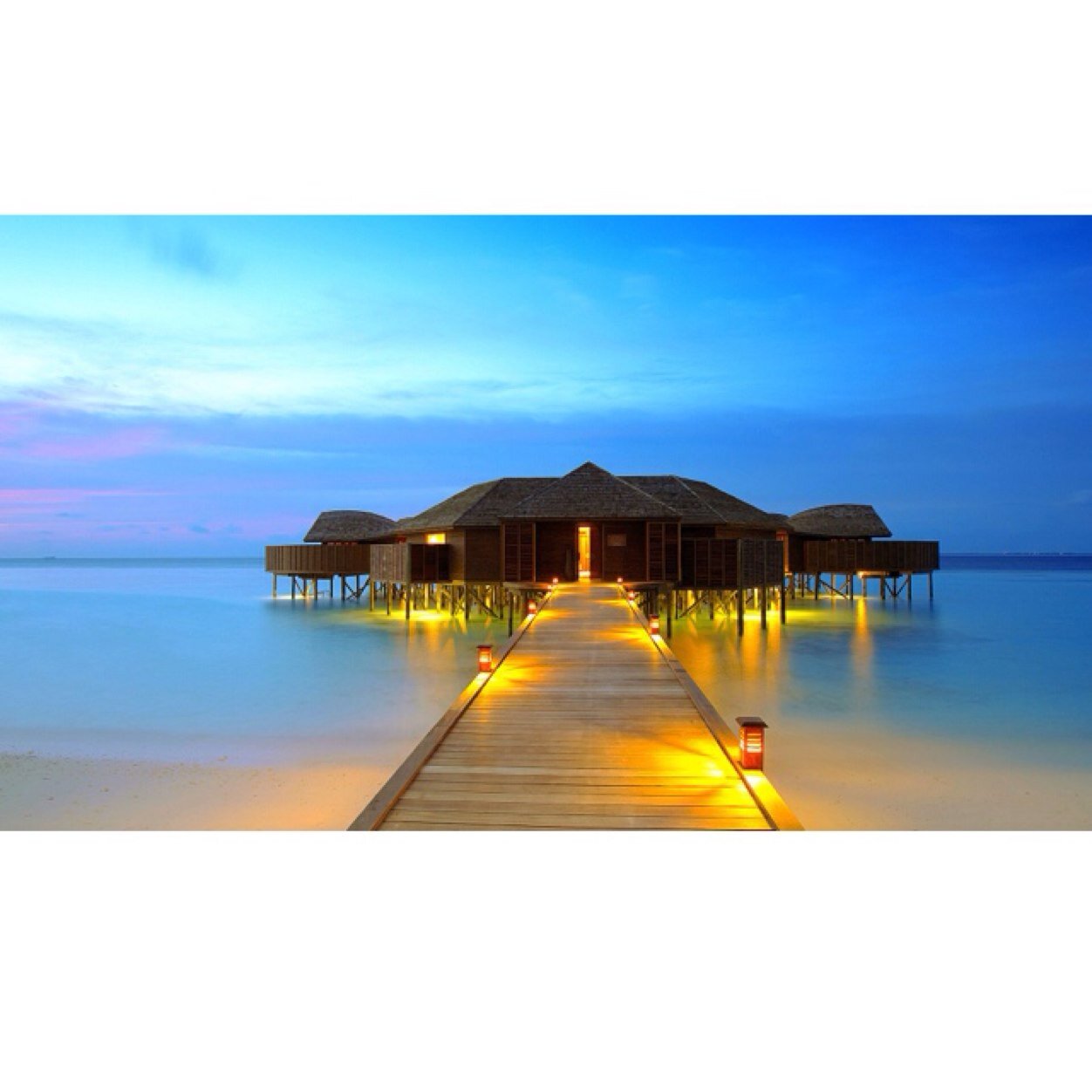 A group of celebrities, who have struggles, they hid away from paparazzi, and now they must deal with the struggles of living in beach house. @/DM to join us.