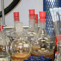 Morandi Lab (@morandilab) 's Twitter Profile