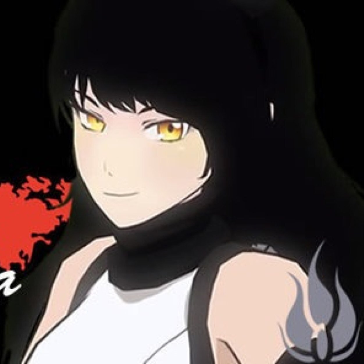 Im blake i got to this school to learn how to kill monsters and im in team RWBY! Oviesly! And i love books and music! my bed myra! #single