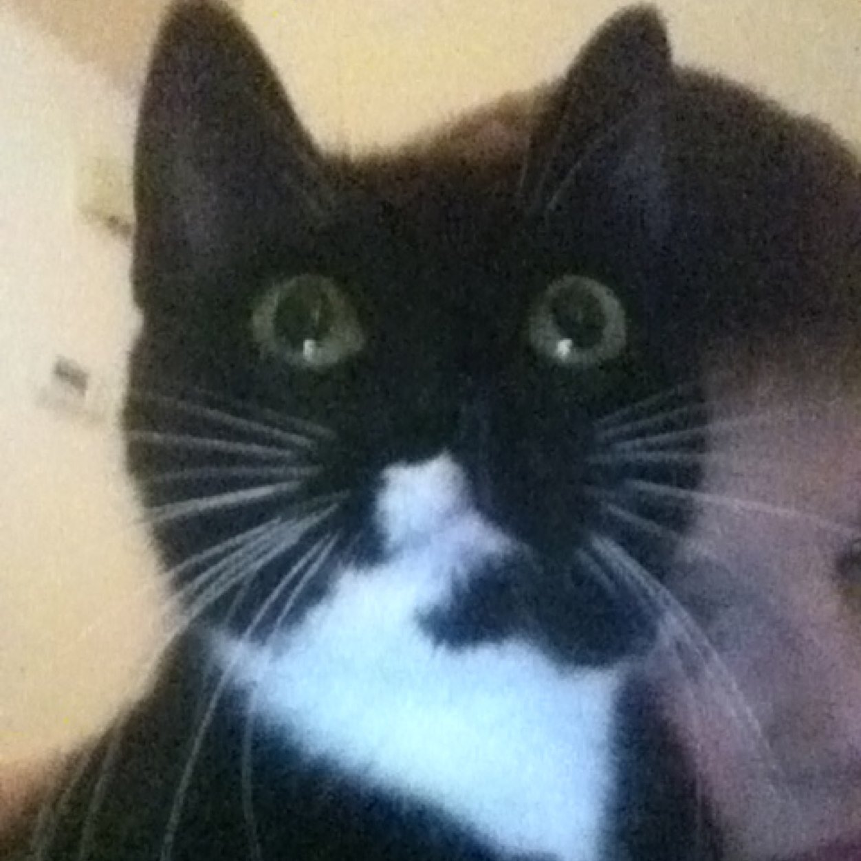 dylan_souder's profile picture. Press the home button for more info