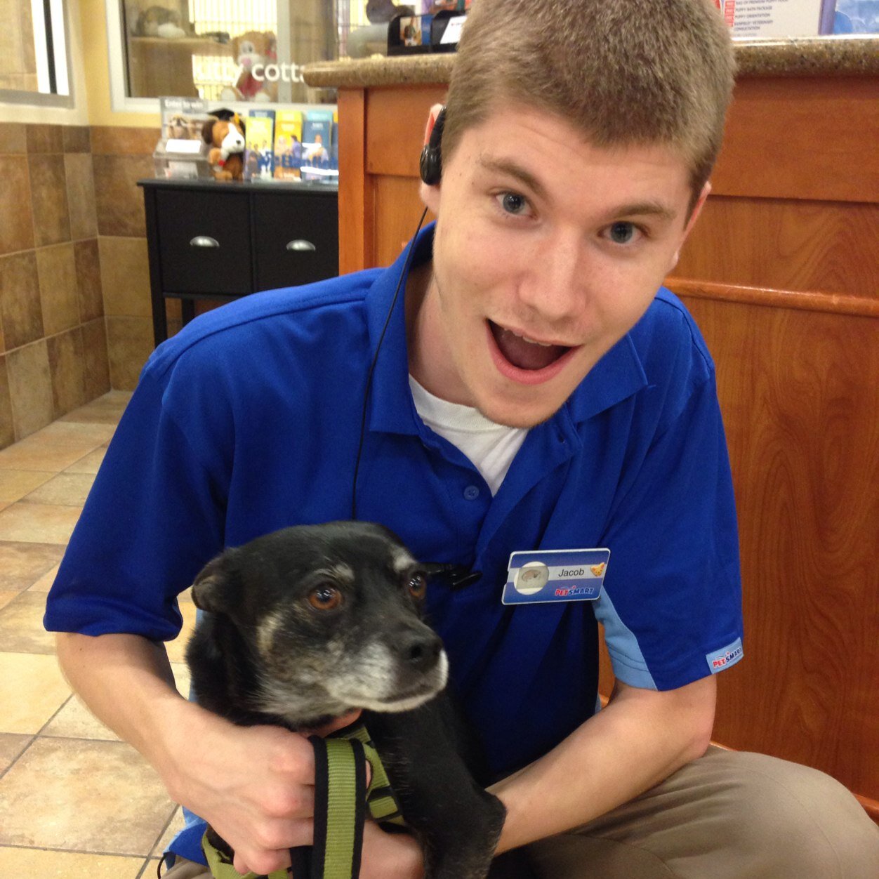 petsmart bather
