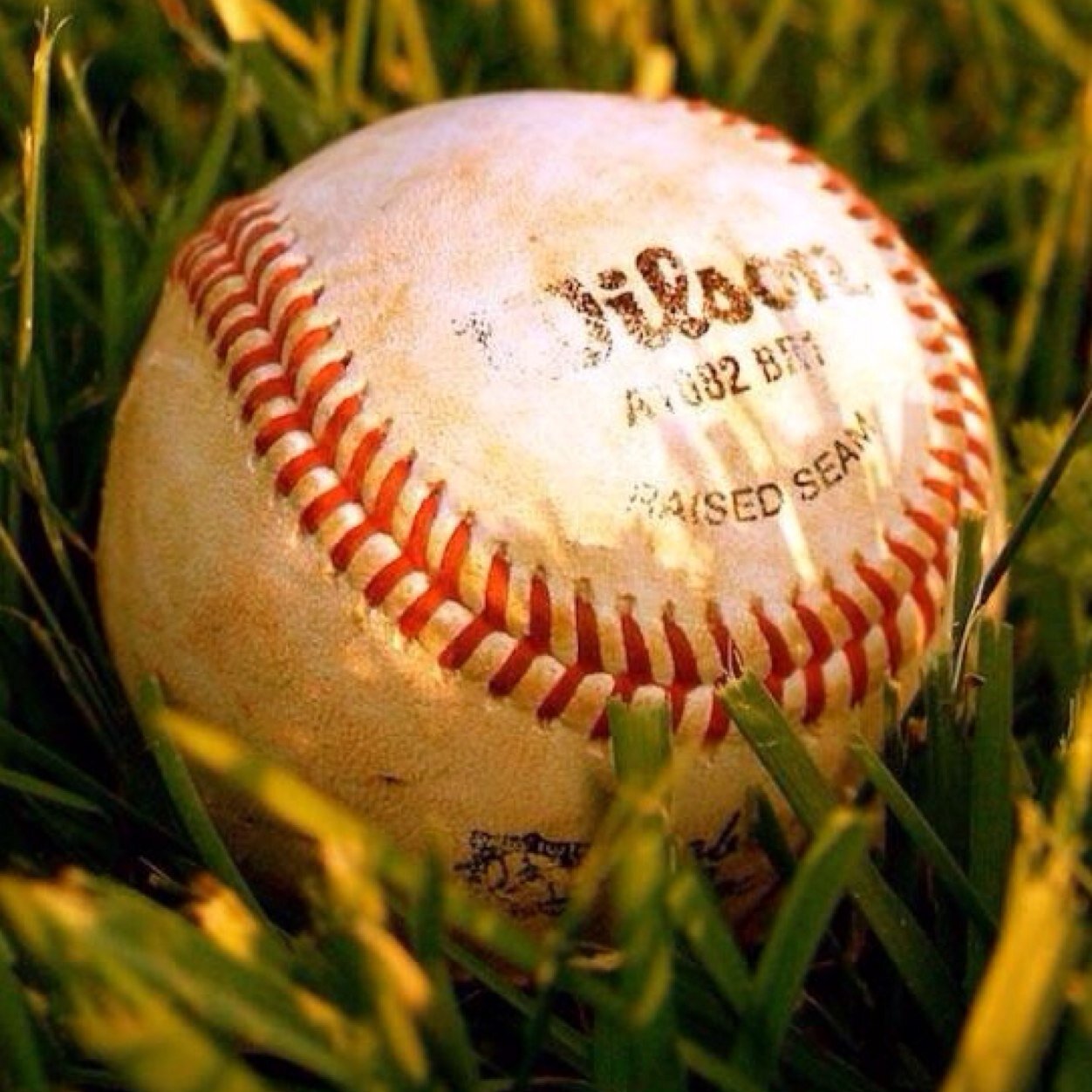 HomeRunKing85's profile picture. 