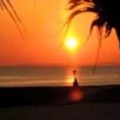 治療家として活動しています。患者様の痛みを必ず取るをコンセプトに活動しています。柔道整復師、鍼灸師の資格を取得しており、現在は九州の宮崎にて開業しております。
