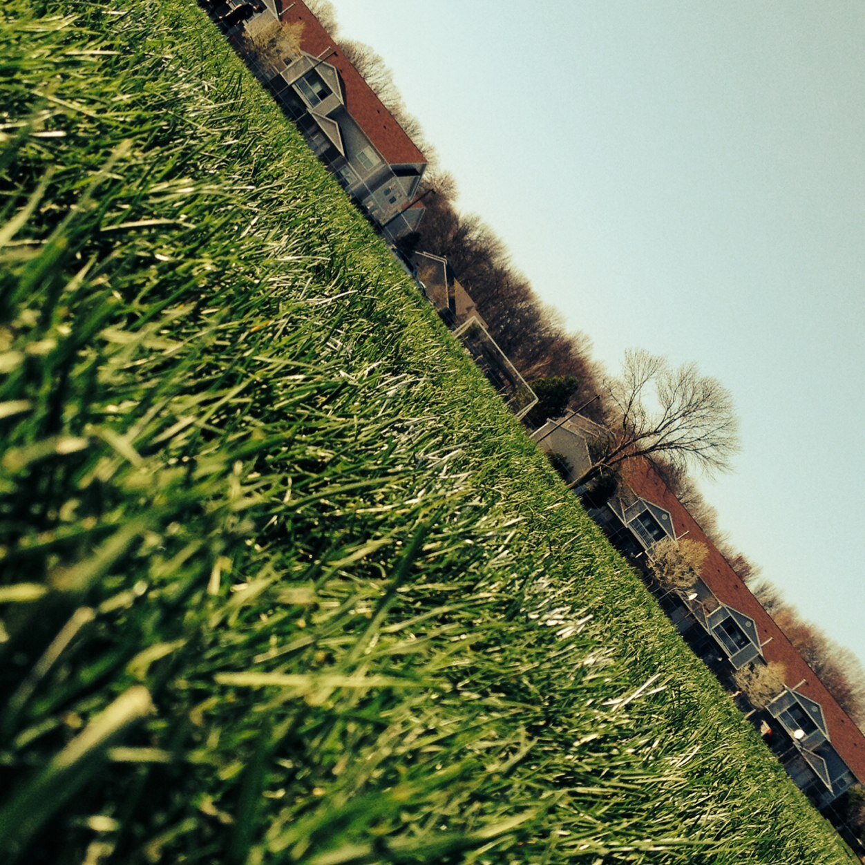 flecos16's profile picture. 