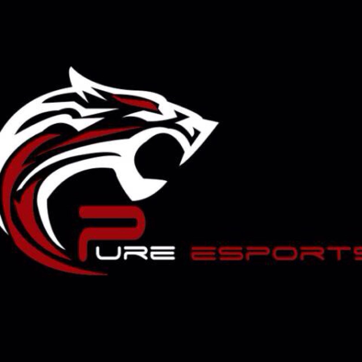 Competitive Call of Duty player. SMG Slayer Sponsors: @CinchGaming : The Only Duo: @MrPure_Revert