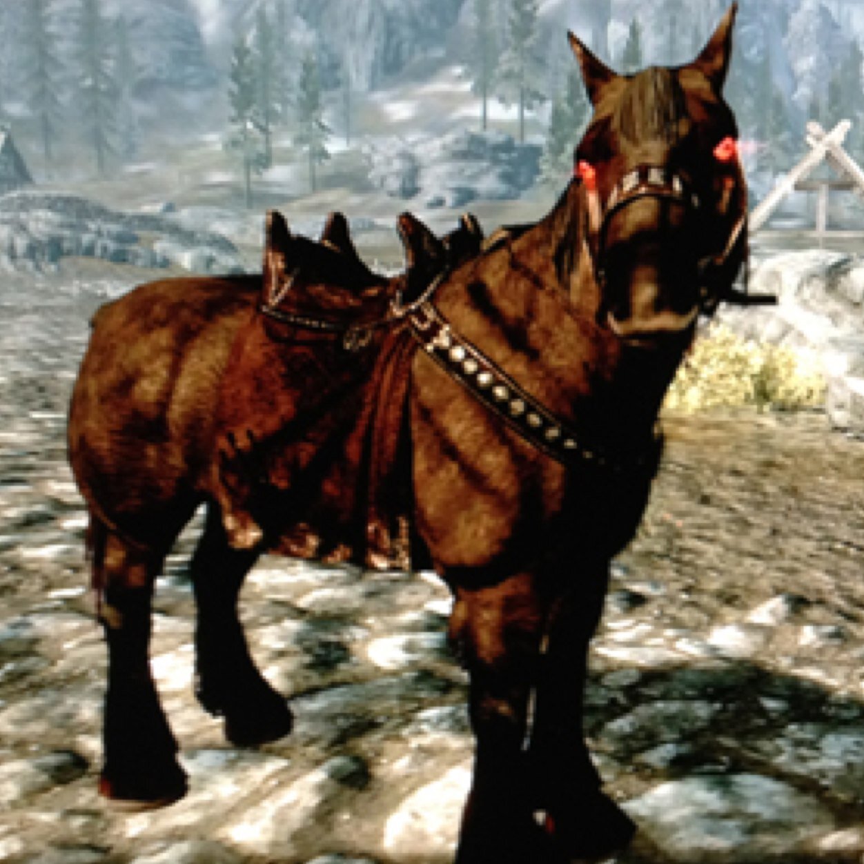 shadowmere_gma's profile picture. I am a sacred part of The Dark Brotherhood Guild in Tamriel.