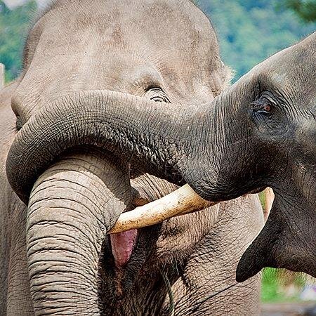 Gilberttamaral's profile picture. 