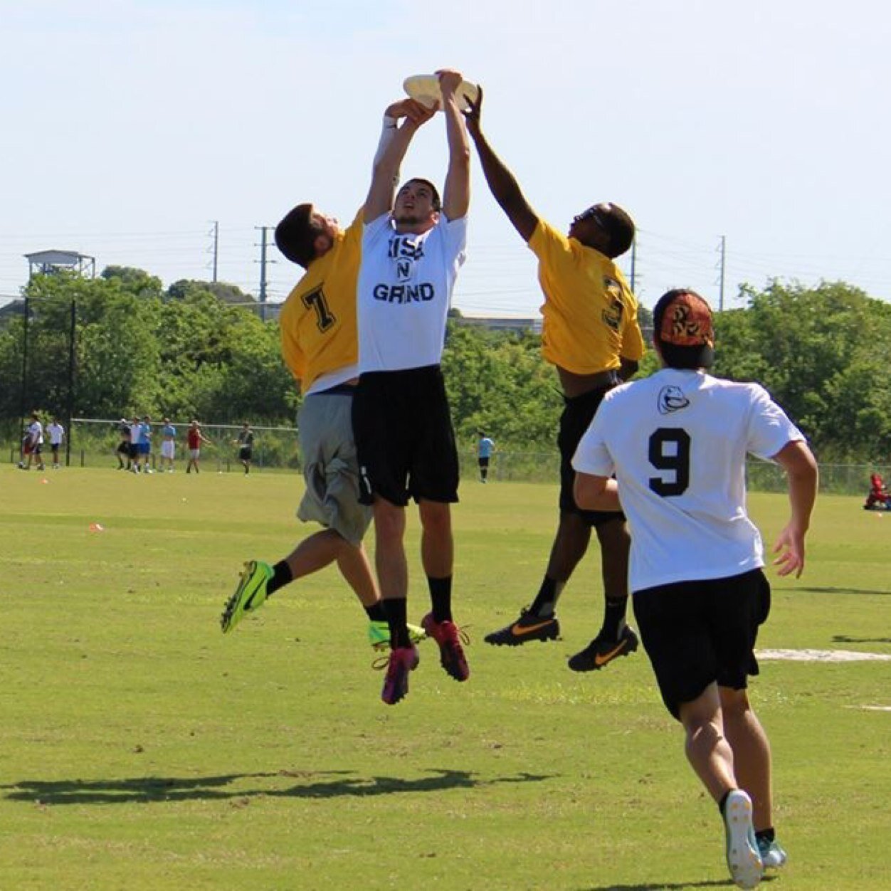 bustamove_jojo's profile picture. Odds are your probably made.