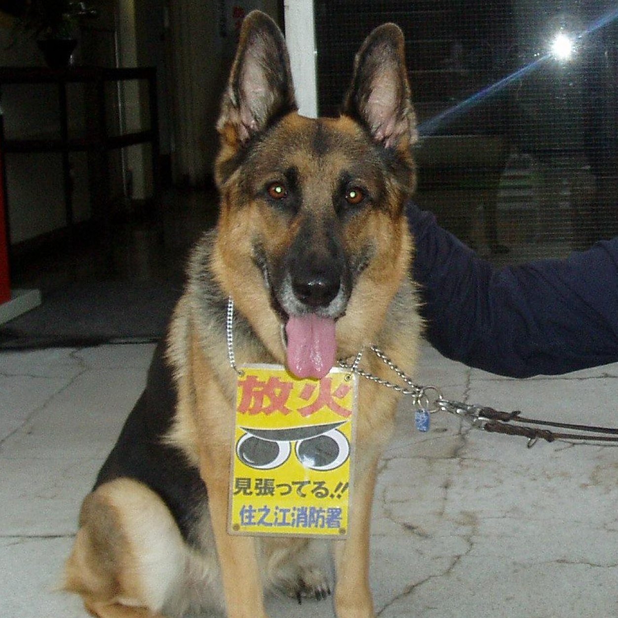 大阪市在住。男性。 療育手帳Ｂ１ 身体５級 消防が大好きです。 就労継続支援 Ａ型の事業所に通いながら、自立生活をしています。 いろんなこと、つぶやきます(^^)  投資に興味はないのでフォロリクいらないです。