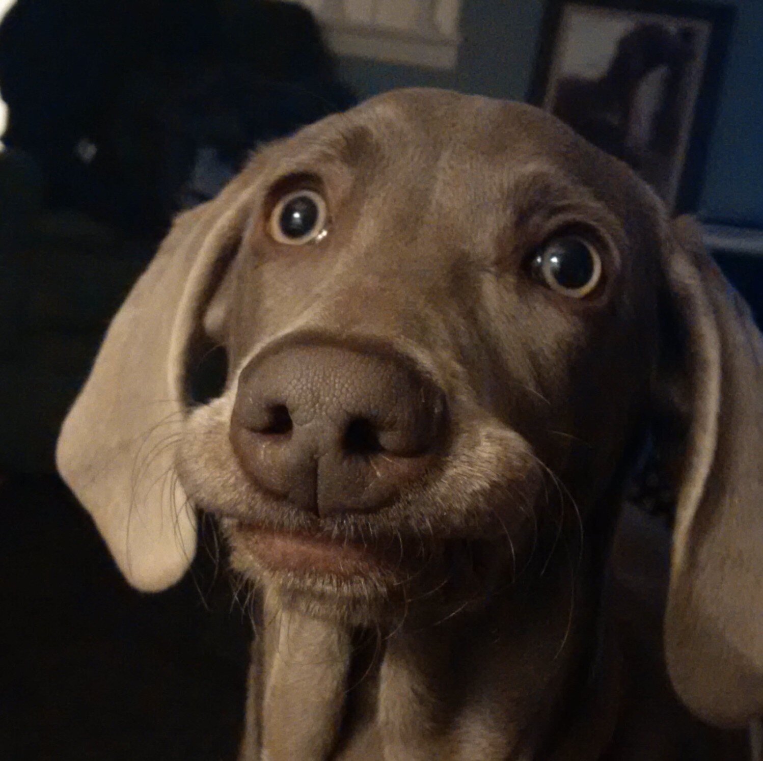 OffTheHook77's profile picture. Work-a-holic Canadian gal with a penchant for all things Brit! Regardless of what I do for a living or where I work, my opinions are my own.