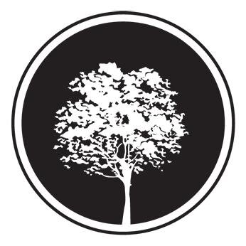 The Sapling Wallet