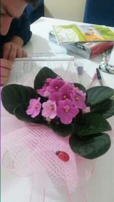 _EsrAbdullah_'s profile picture. güzel günleri uçan balonumun ipiyle  çekiyorum..