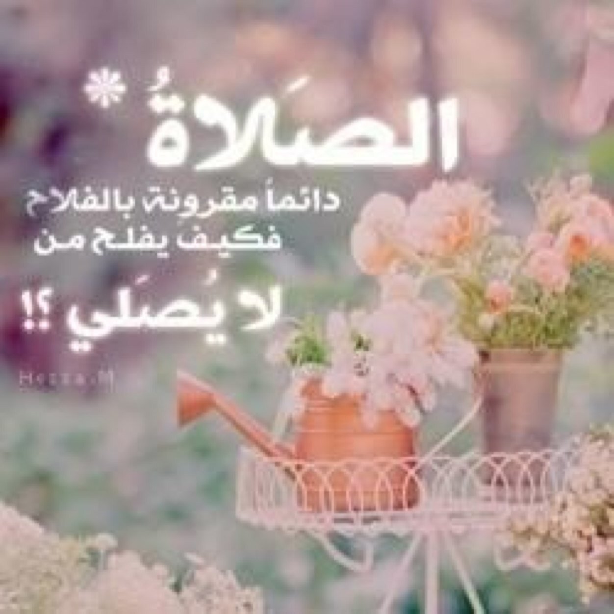 صامته جدأ متبعثره ومتبلده. اسررح كثير. اختنق بالهههدؤؤء متأبعه بصمت لكككككل مايحدث حولي ... وبالمنأسبهه لا اثق بآآحد ..