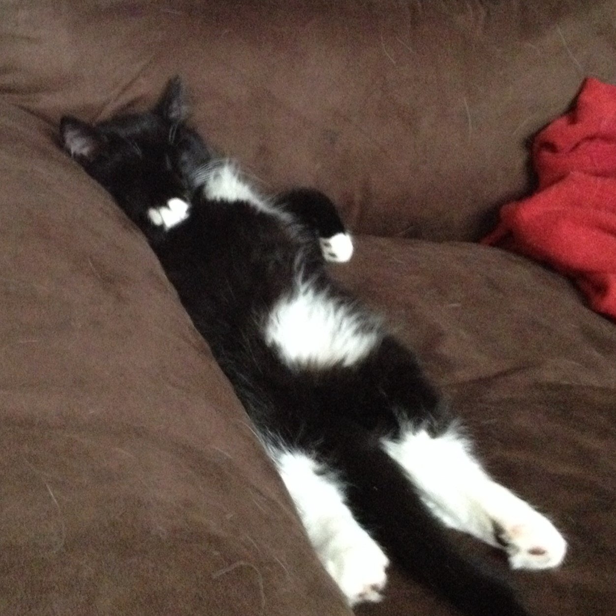 29woodc's profile picture. 