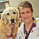 Dr Robin Downing - @DrRobinDvm2 - Twitter