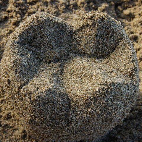 sssbbb2011's profile picture. 