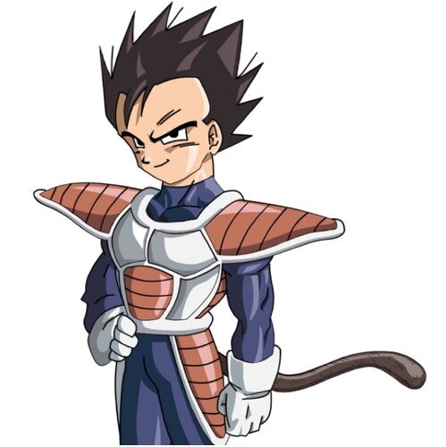 Banished by my own family just to return to find my father's legacy destroyed. What am I to do? Fight for the new tyrant or stand a fight like a true saiyan.