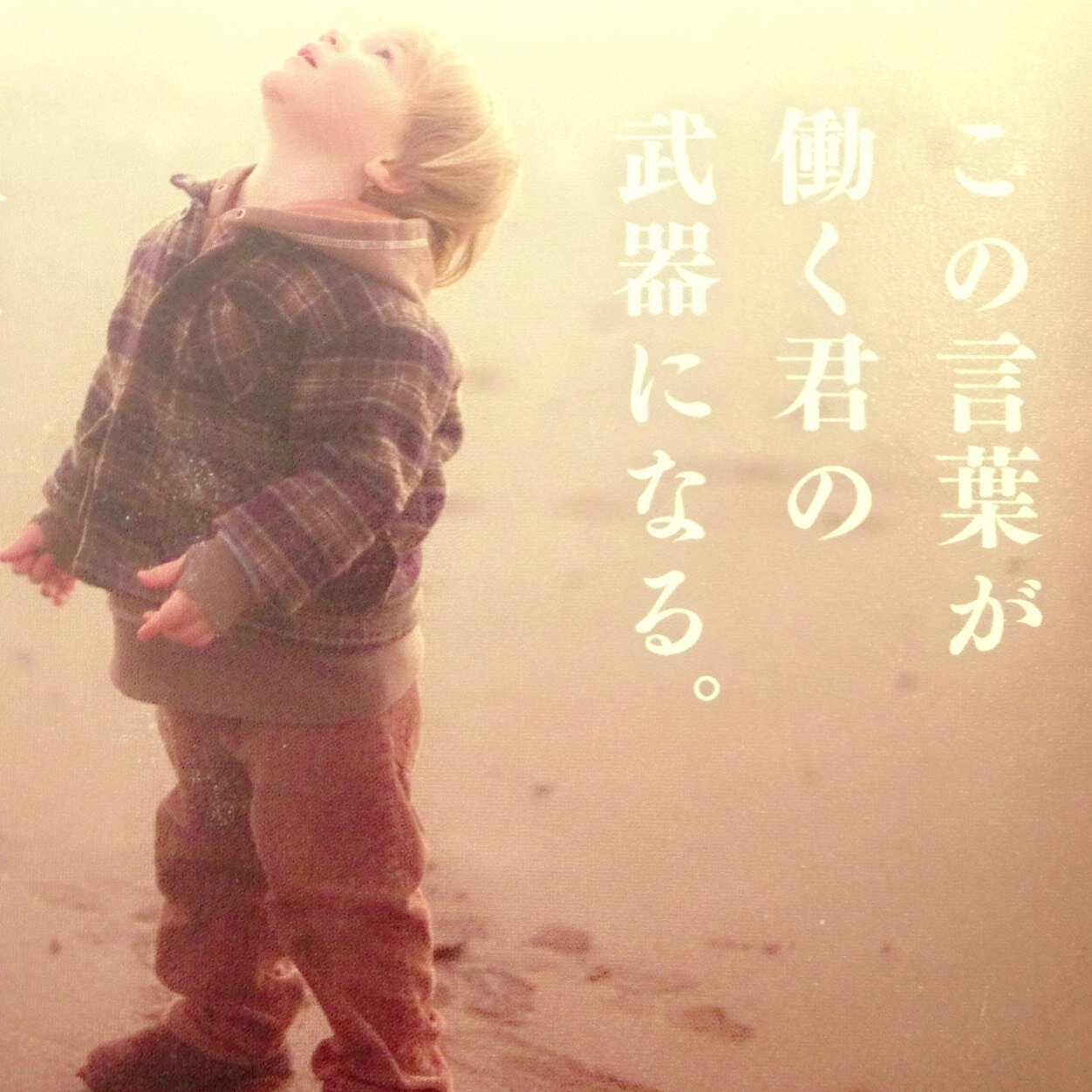 君を成長させる言葉 Businesswomon Twitter 君を成長させる言葉 Businesswomon Twitter
