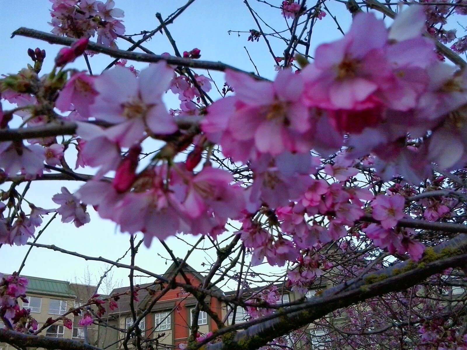 FriesenLorraine's profile picture. Choose joy by rejoicing. Happiness is an INSIDE job.