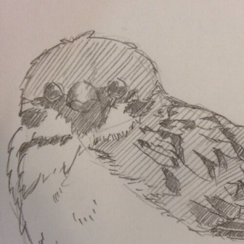 prn_grfty's profile picture. 絵見るのが好きです 自分ではそうそう描かない(描けない)けどハンドメイドで物作るのは好きです  漫画は好き。アニメは見ない。絶対着ない(着れない)けどふりふりふわふわ系大好きです。  ふぉろーみー