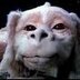 soit_goes's profile picture. shitposting for justice since 2012