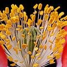 CybertechSys's profile picture. Organization specializing in Web Hosting and Web Site Designs.