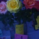 Indrani Chatterjee - @chatterjeei64 - Twitter