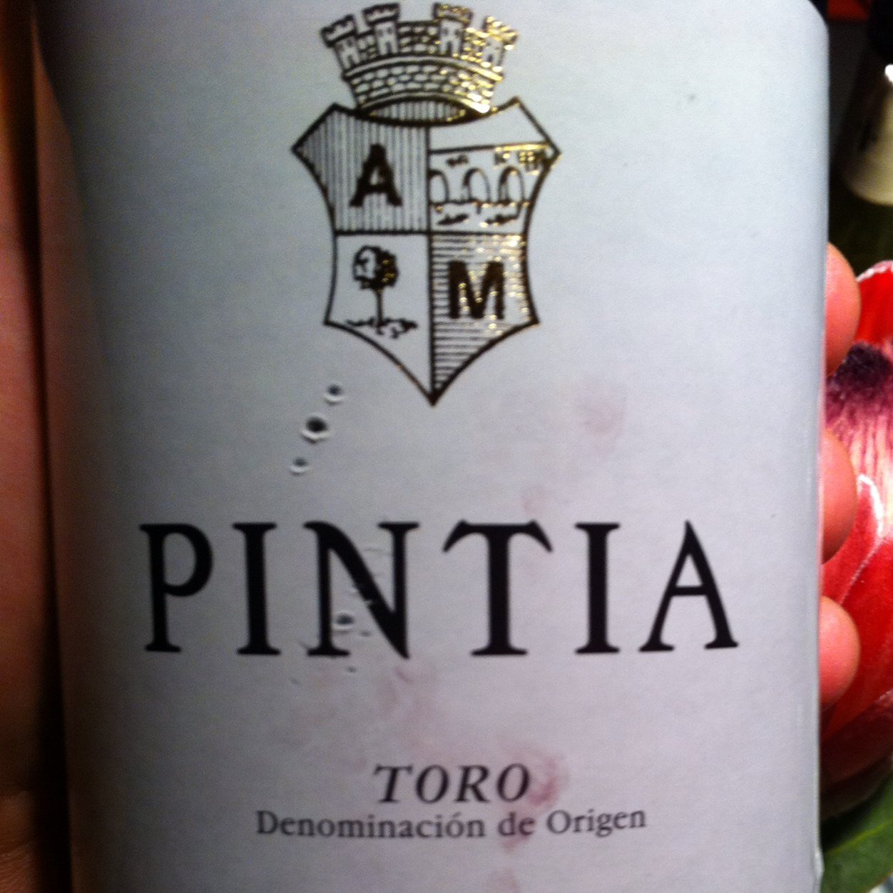 Pintia Fan | Spreading Love for Pintia