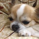 山本悠介 (@0816Yusuke) Twitter