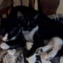 Kelli Connors - @shitjanesays - Twitter