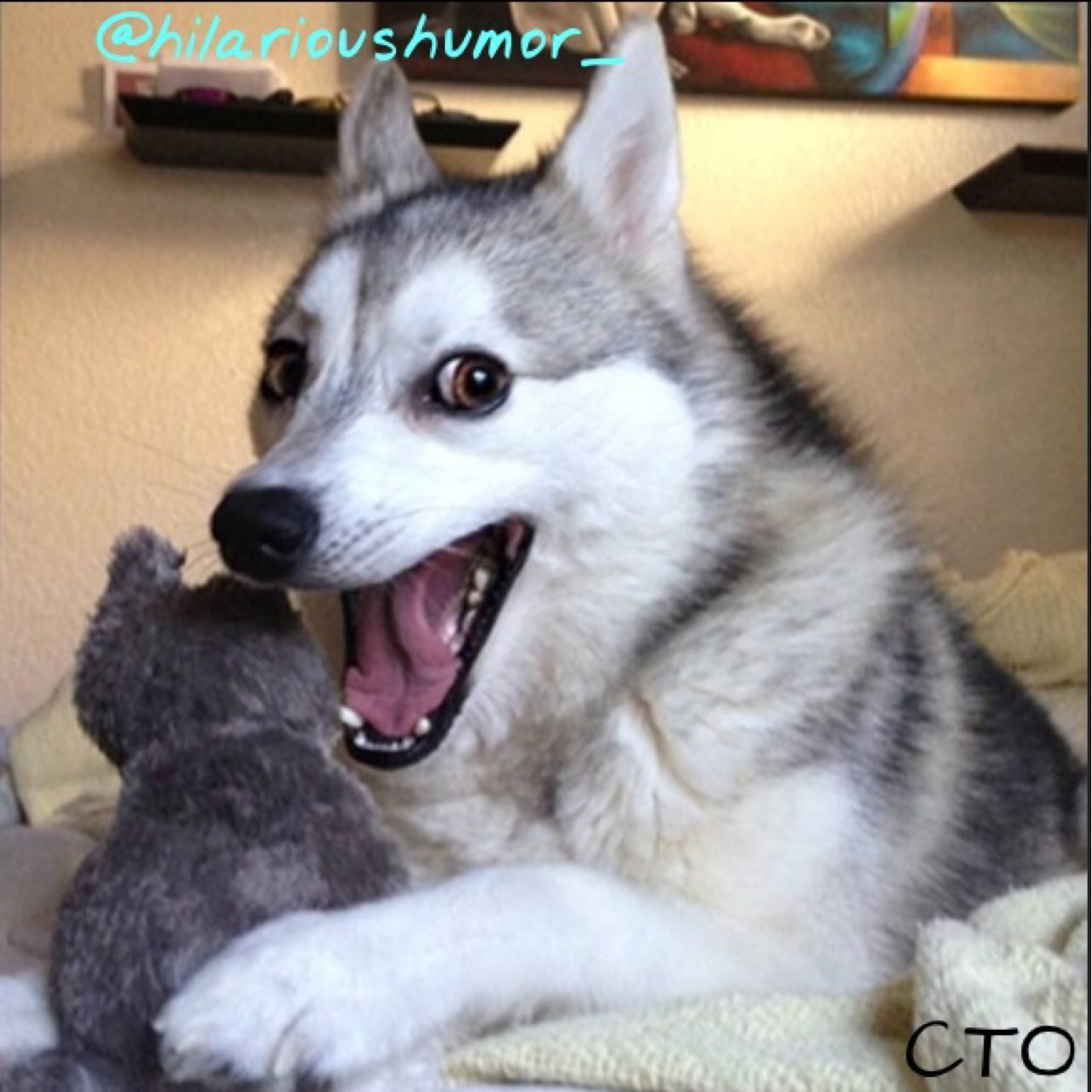 hilarioushumor_'s profile picture. You know I'm Amazing right? || Parody