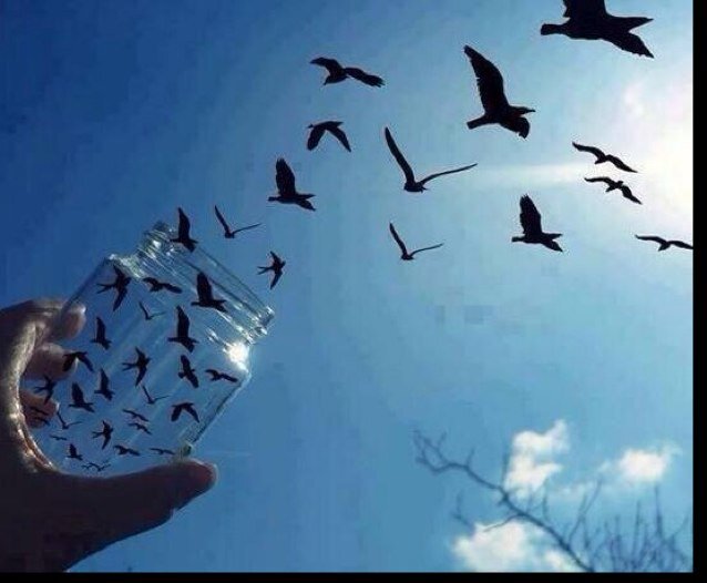 omohom20's profile picture. 