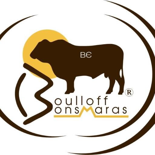 Boulloff Bonsmaras