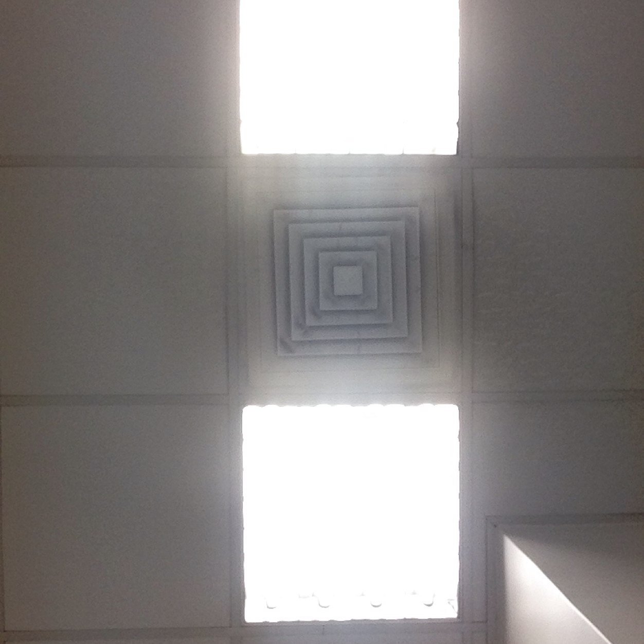 zahraafirst1's profile picture. 