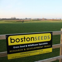 BostonSeeds (@bostonseeds) 's Twitter Profile