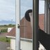 Spectrum Windows (@glazingrepair) Twitter profile photo