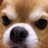 MzMyk's profile image