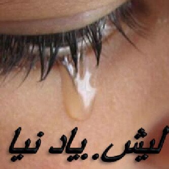 comint2's profile picture. 