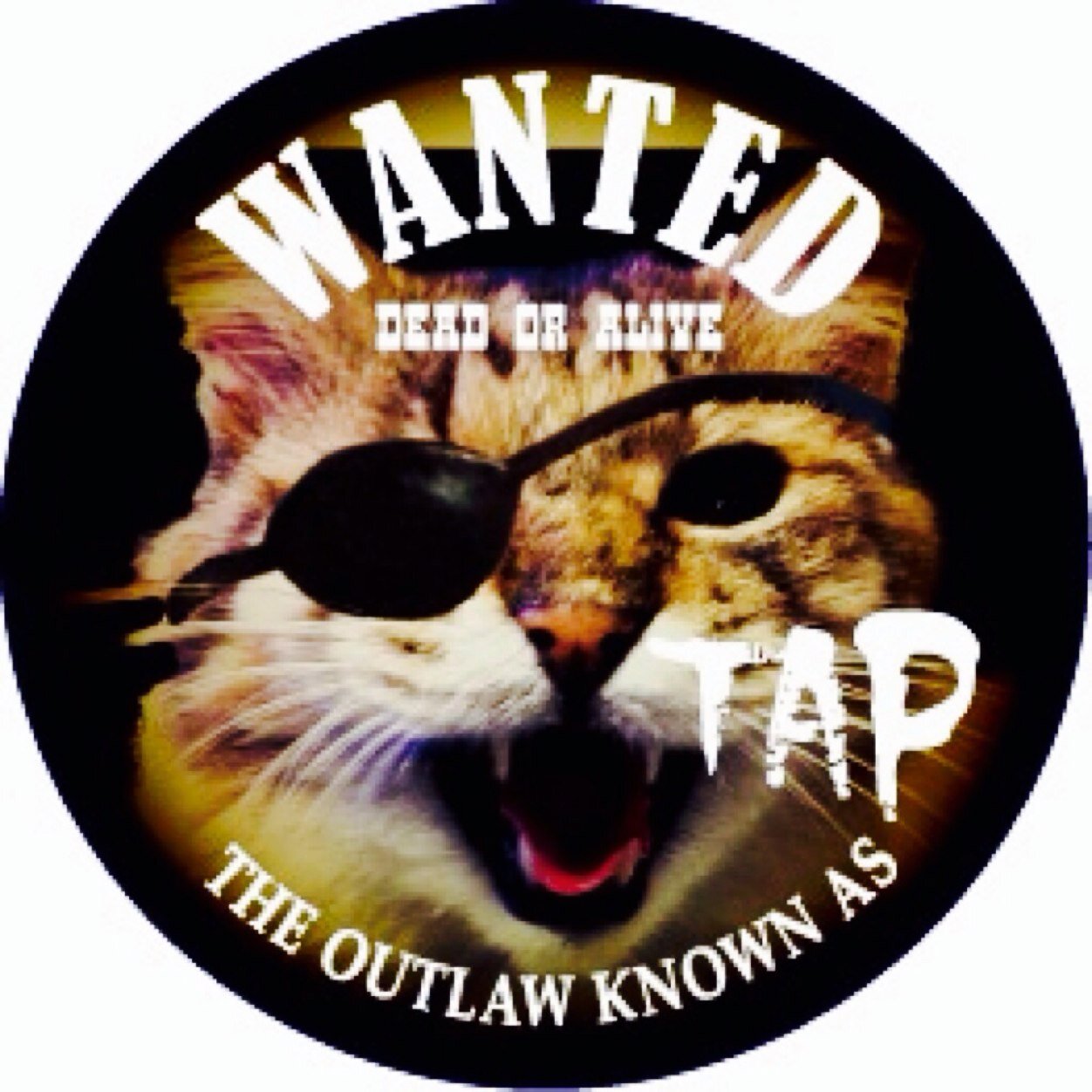 猫好き、霊氣ヒーラー、ハンドメイド、着物好き、No Cats No Life. Love and Peace.