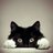 mapele1972's profile image