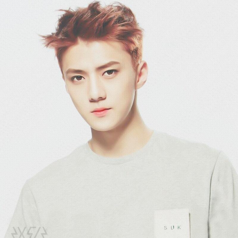 Bio is not my style ~X◊X◊~