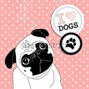 mary aragon  - @AragonMaryCruz - Twitter