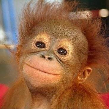 LukeBeahan's profile picture. Create. It's your gift and responsibility as humans.