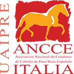 U.A.I.P.R.E. (Unificazione Associazioni Italiane Pura Raza Española) è l’unica Associazione Italiana di tutela, promozione e sviluppo del cavallo P.R.E.