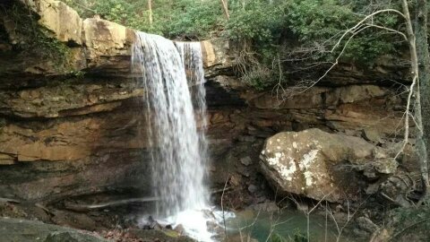 tjorme2425's profile picture. 