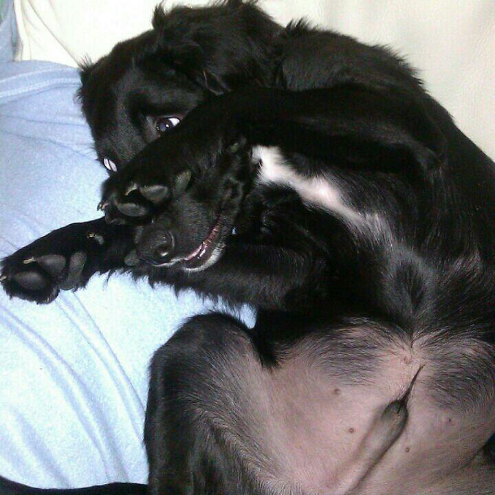 Sp3edo's profile picture. 